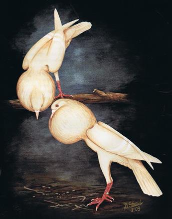 br�nner, buch ba3 001 (Copy)1