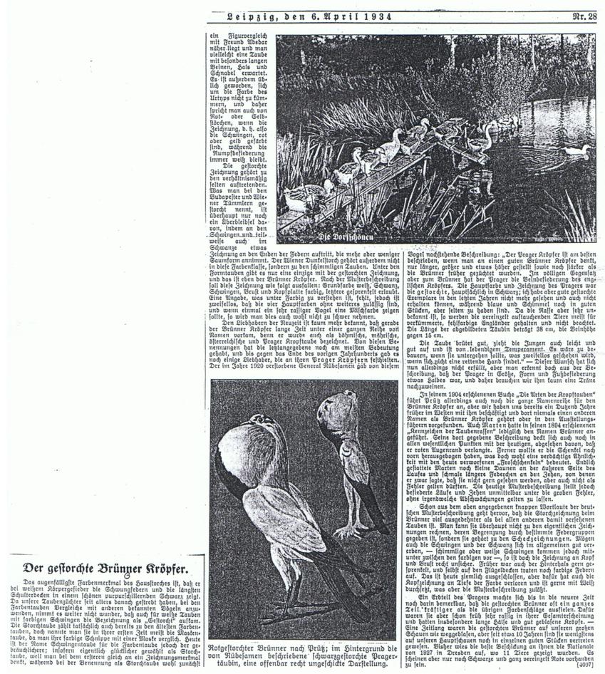 br�nner, bericht 1934 001_849x946