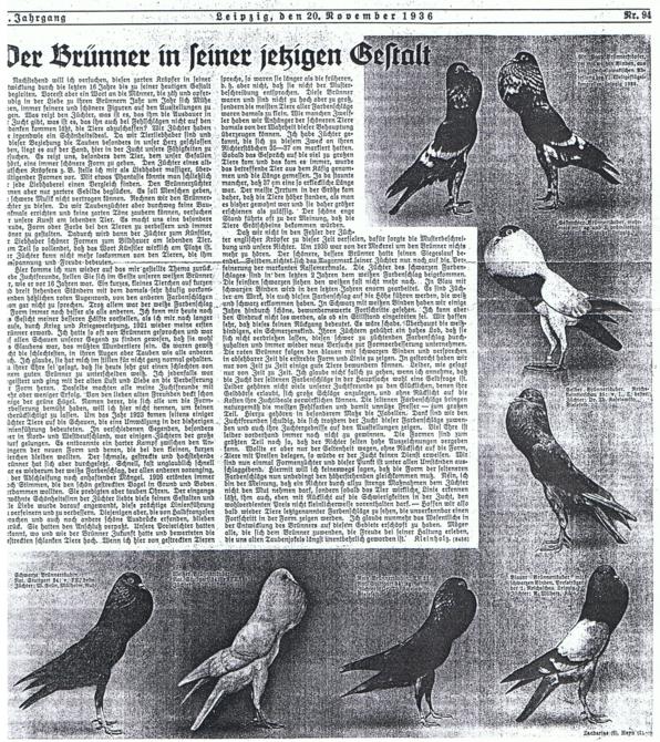 br�nner, bericht 1936 001_596x670