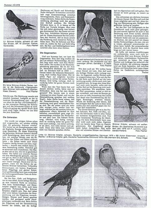 br�nner, bericht 1978-2 001_484x668