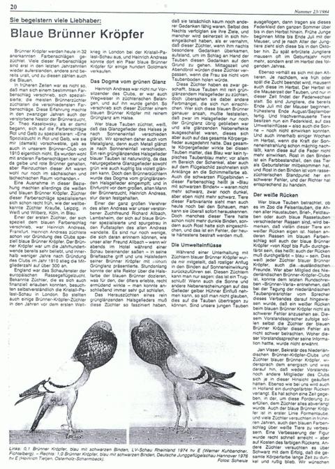 br�nner, bericht 1984-1 001_480x672