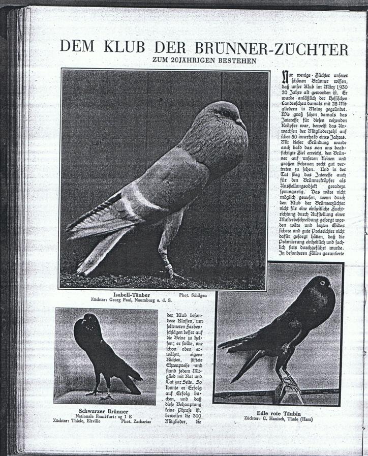 br�nner, club 20 jahre - 3a 001_724x897