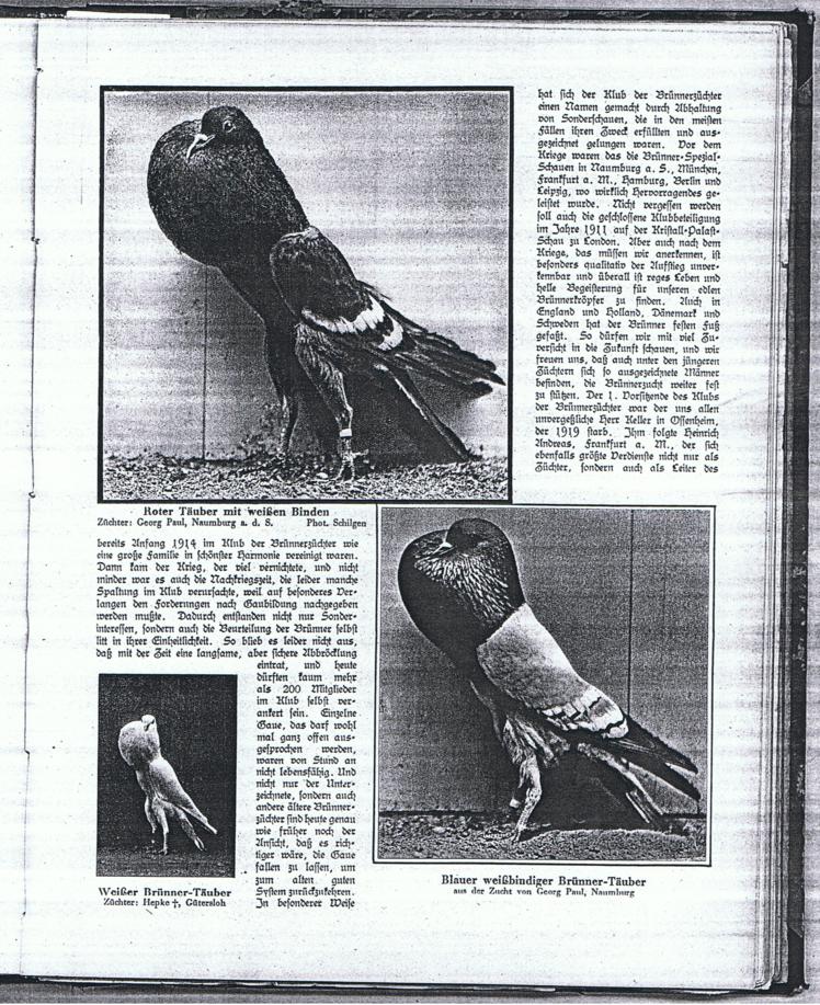 br�nner, club 20 jahre - 3b 001_748x917