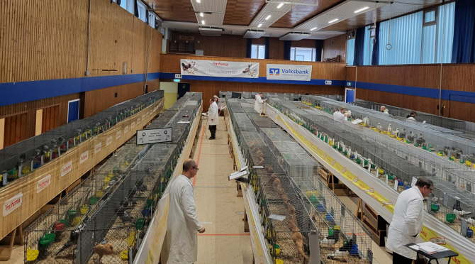 01- 2023_Gruppenschau S�dwest Goddelau