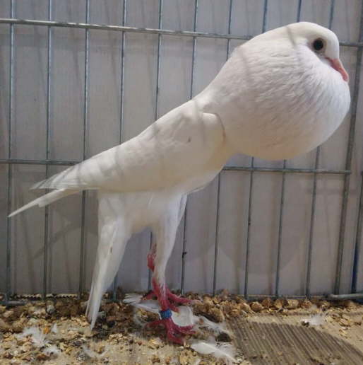 02 Dieter M�ller - Wei�