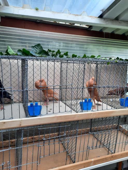 530495f6-8211-4940-b0e2-e9c1b5dcf3ad