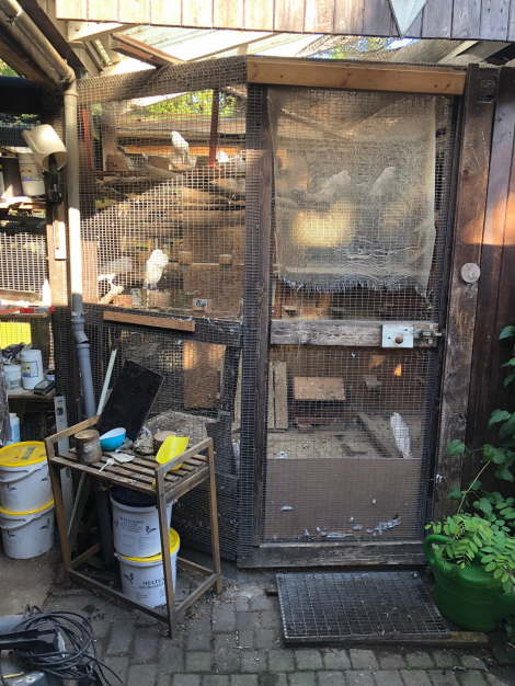 96c05c3b-3363-4233-b2d8-89888d0861e6