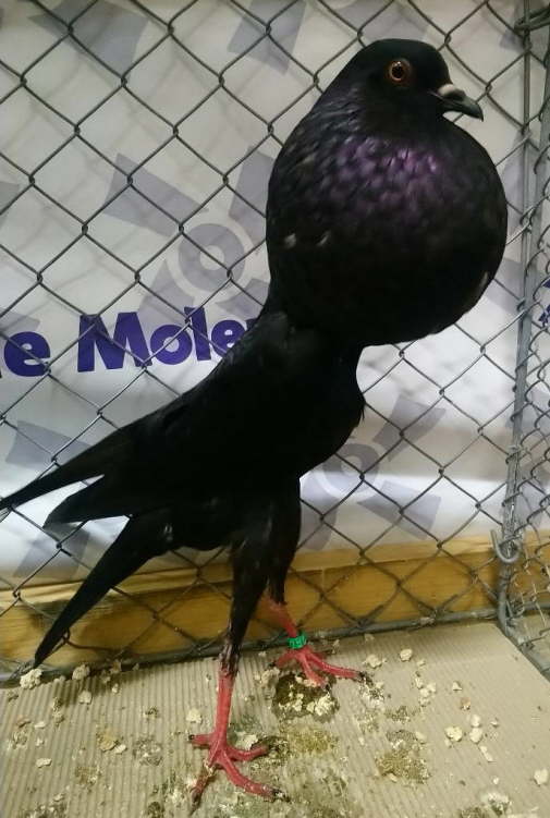 Schwarz_S�ren Helmholz - hp