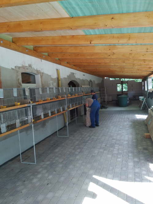 Vorbereitung - K�figaufbau