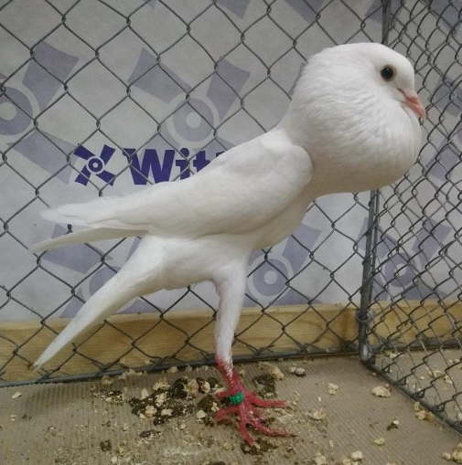 Wei�-Dieter M�ller - 3 - hp