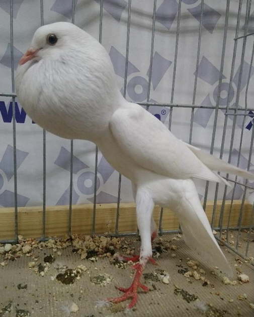 Wei�_Dieter M�ller - hp