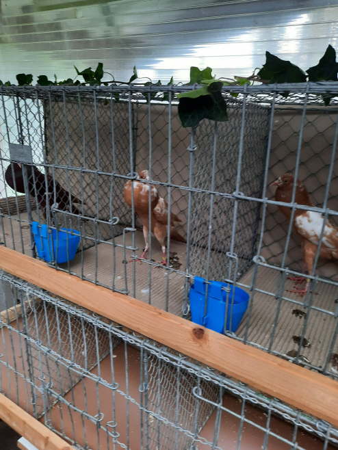 a9fa7a76-c580-417f-8cf4-5ed926135562