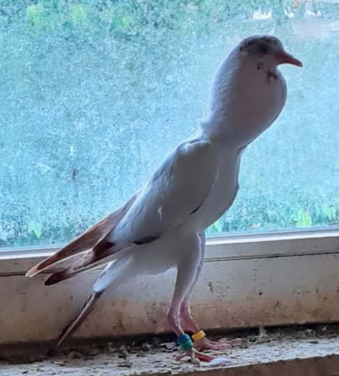 bei Manfred M�ller_Juni 2